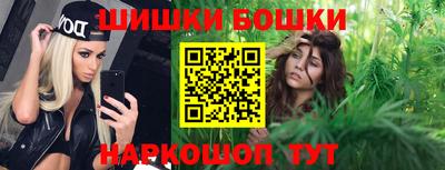 индика Пугачёв