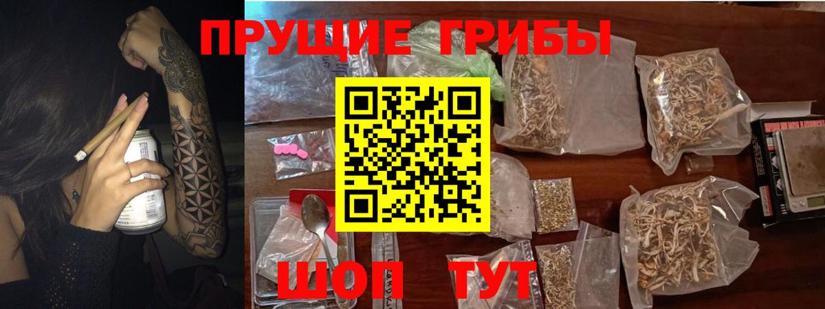 Сергиев Посад  Псилоцибиновые грибы Psilocybe  Галлюциногенные грибы Cubensis  Вход с VPN 